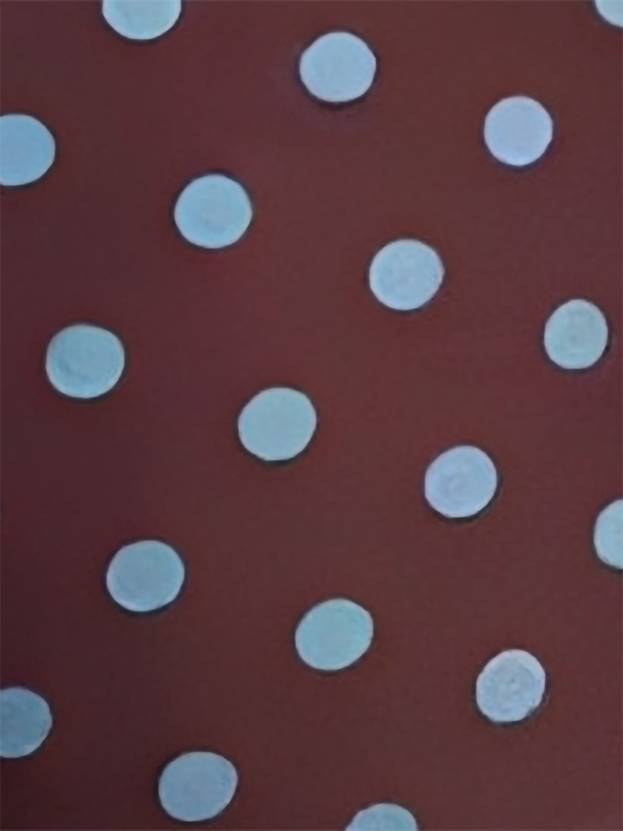 3 Pieces Halter Neck Polka Dot Triangle Cut Tie Side Bikini