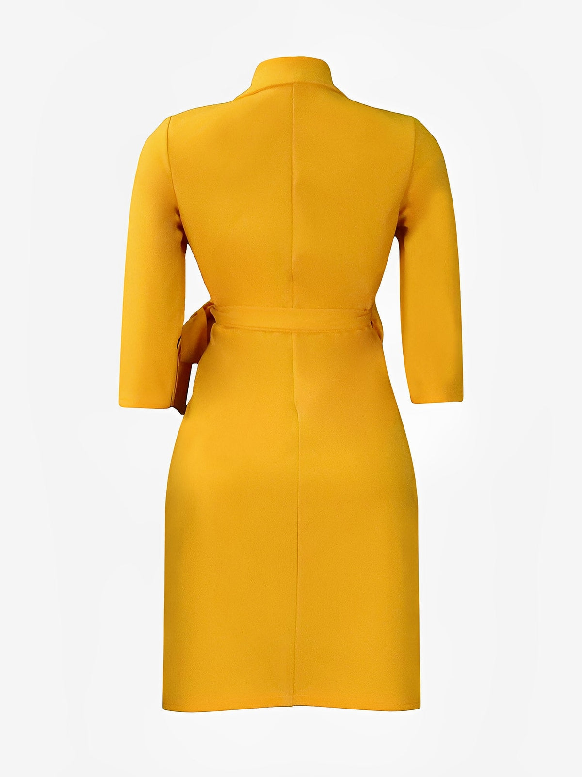 Tailored Pleats & Cinched Waist Notched Lapel Tie Waist Pleated Office Chic Blazer Dress