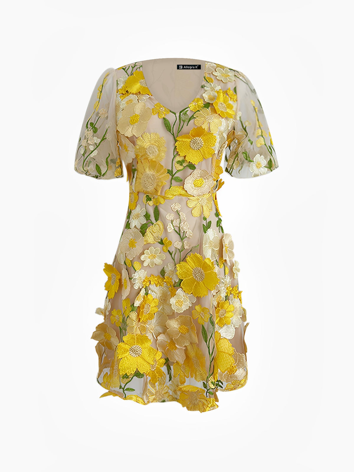 Flower Embroidered Puff Sleeves Mini A-Line Dress
