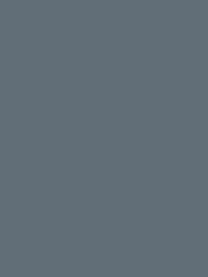 Round Neck Long Sleeves Button Decor Blouse