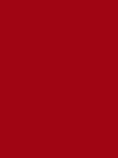 Christmas Velvet V Neck Long Sleeves Midi A-Line Dress