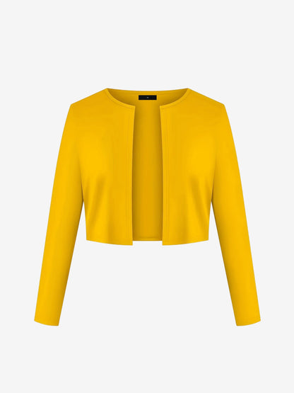 2 Pieces Long Sleeves Cropped Jacket & Sleeveless Printed Midi Sheath Dress Matching Set