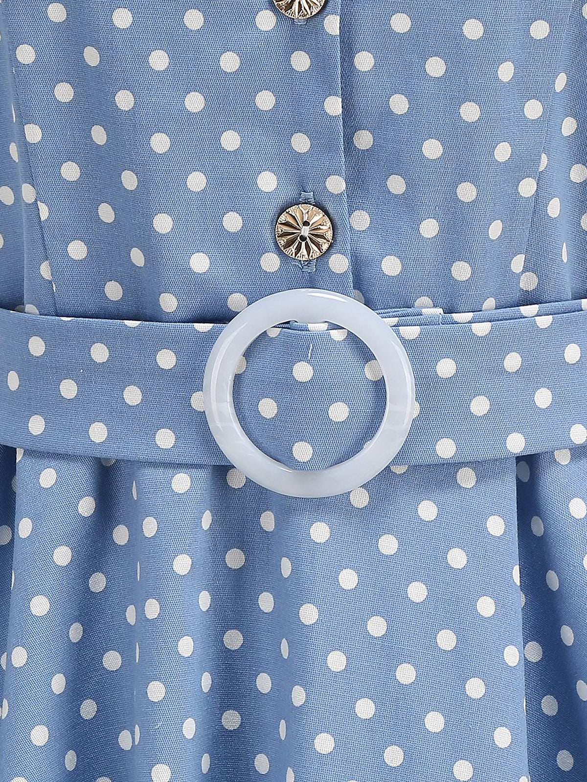 Polka Dots Lapel Button Down Belted Midi Swing Dress