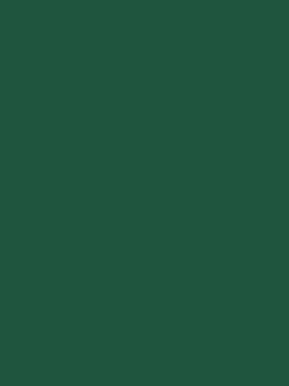 Sleeveless Criss Cross Lace-Up Wide Legs Jumpsuits