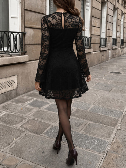 Lace Sheer Illusion Neck Mini A-Line Dress